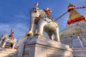 Northern India & Nepal 2021