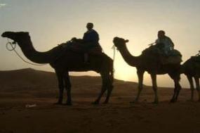 Highlights of Morocco