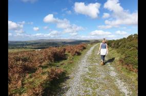 Contrasts of Devon Walking
