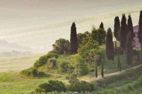 Premium Italy in Depth