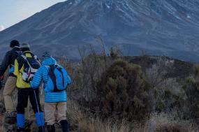 Serengeti & Kilimanjaro