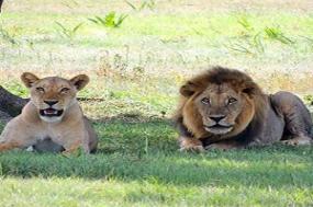 Kenya & Tanzania: The Safari Experience with Nairobi & Zanzibar
