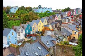 Countryside of the Emerald Isle - 2024