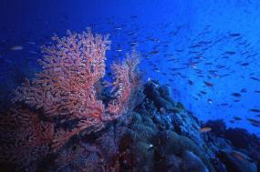 16 Day Australia & New Zealand with Cairns & Ayers Rock