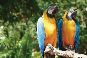 14 Day Galapagos Islands & Ecuador