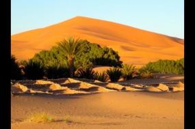 Treasures of Morocco - Premium Adventure