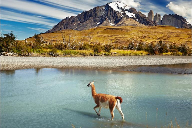 Patagonia Torres del Paine National Park Patagonia Wilderness Trip