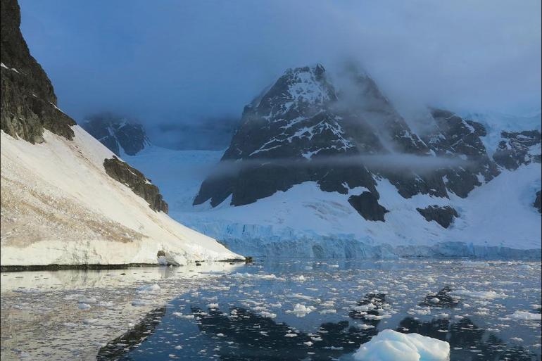 Nature & Wildlife Wildlife viewing Best of Antarctica: Wildlife Explorer (Ocean Endeavour) package