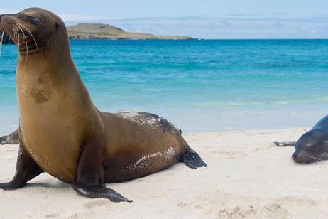 Galapagos Island Hopping