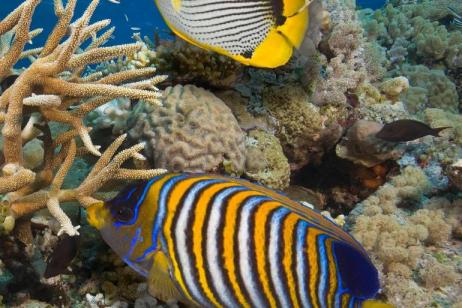 Cairns and the Great Barrier Reef