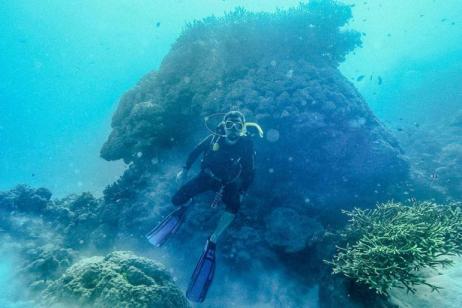 Learn to Dive(Multi Share,Start Cairns, End Cairns)