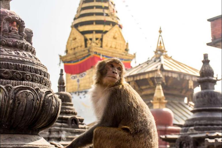 Kathmandu Khajuraho India & Nepal Adventure Trip