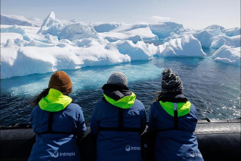 Antarctic Peninsula Ushuaia Best of Antarctica: Wildlife Explorer (Ocean Endeavour) Trip