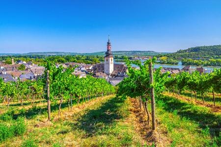 Family Friendly River cruise The romantic Rhine Valley and the rock of the Lorelei package