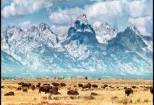 Five Epic National Parks tour