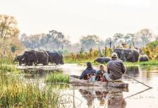 Southern Africa Safari tour