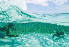 Caribbean Encounter(Twin Room,Start Cancun, End Antigua) tour