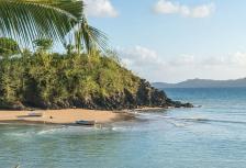 Comoros: Wildlife Expedition tour