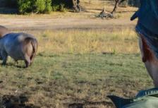 Botswana Adventure tour