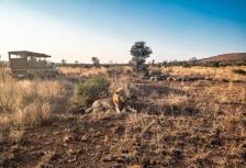 Best of South Africa (base ) tour