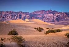 America's Great Desert National Parks (Phoenix) tour