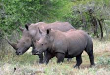 Mpumalanga (deluxe Class) tour