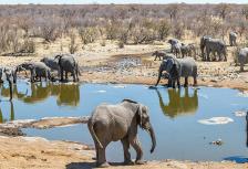 South Africa Family Safari with Teenagers tour