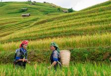 Sapa Adventure tour