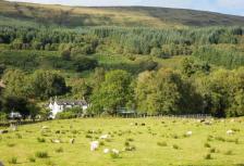 Best of Ireland and Scotland tour