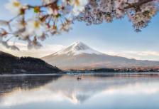 Japan Discovery tour