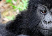 Africa Encompassed Southbound tour