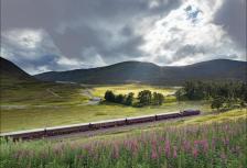 British Royale (Edinburgh, Royal Scotsman, Small Groups) tour