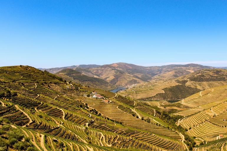 Bilbao La Rioja Flavors of Portugal & Spain: featuring the Douro and Rioja Wine Regions - 2024 Trip