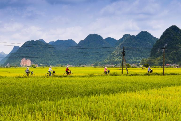Cycling Vietnam- Premium Adventure tour