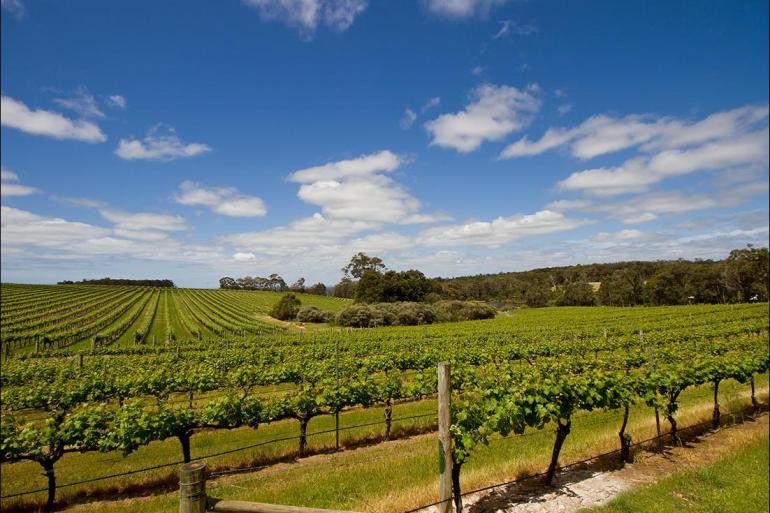 Cultural Culture Margaret River & Albany Adventure package