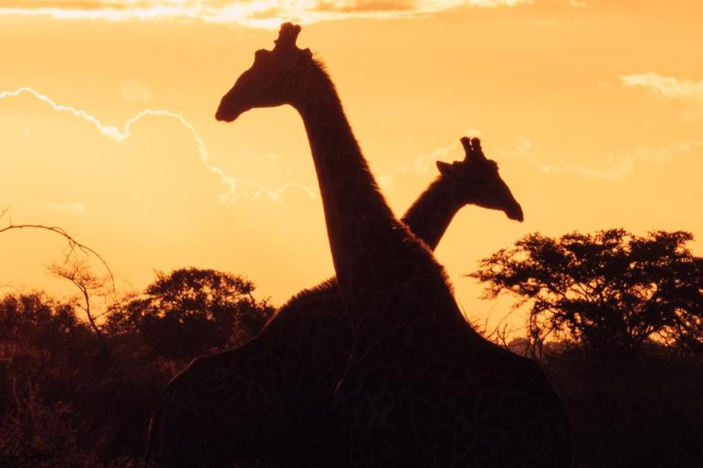 Experience Southern Africa tour