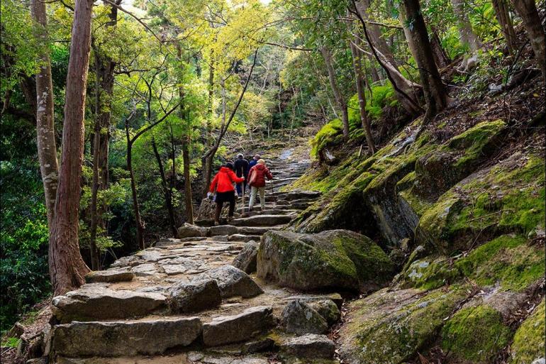 Kyoto Osaka Japan: Hike, Bike & Kayak Trip