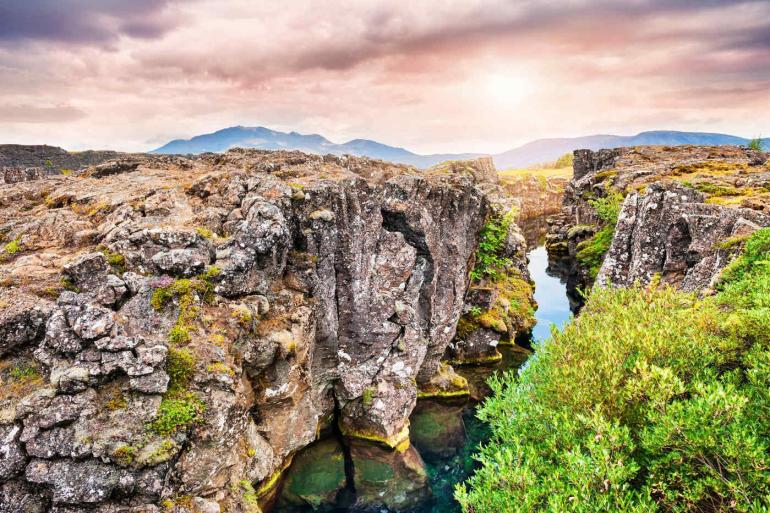 Nature & Wildlife Homestays & Cultural Immersion Winter Wonders & Delicious Detours package