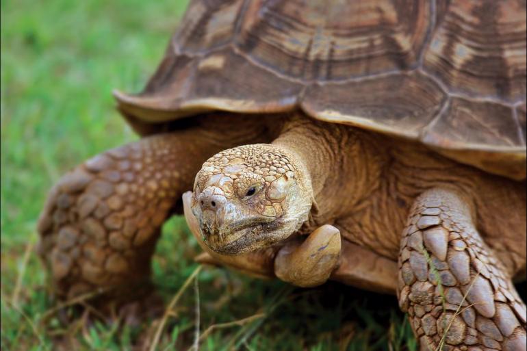 Quito San Cristobal Best of Galapagos  Trip