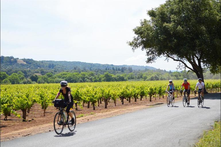 Cycling Adventure & Adrenaline Cycle Sonoma & the Napa Valley package