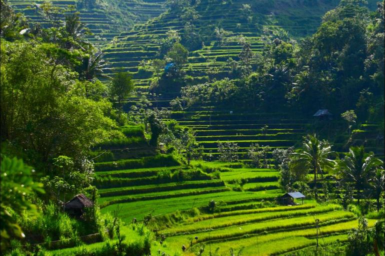 Cultural Culture Jakarta to Ubud package