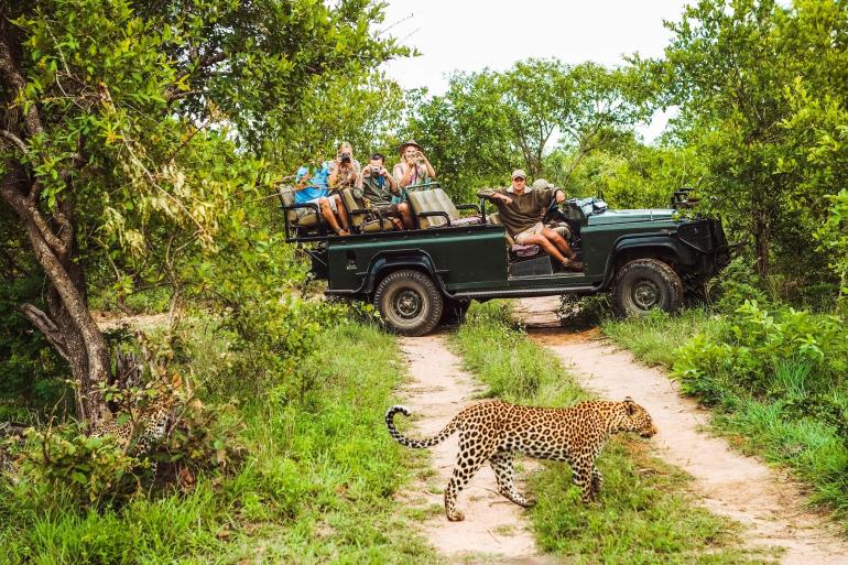 Kruger Safari with Eswatini tour