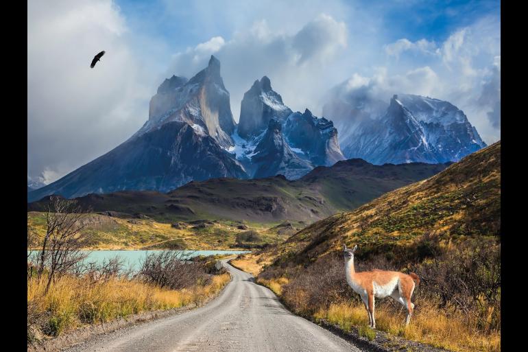 Best of Chile from Atacama to Patagonia 2023 Classic Group tour