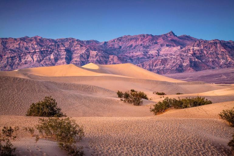 America's Great Desert National Parks (Phoenix) tour