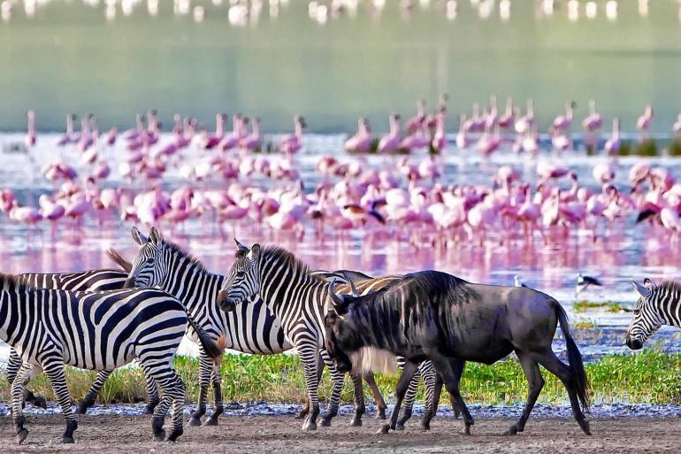 Cape Town to Kenya tour