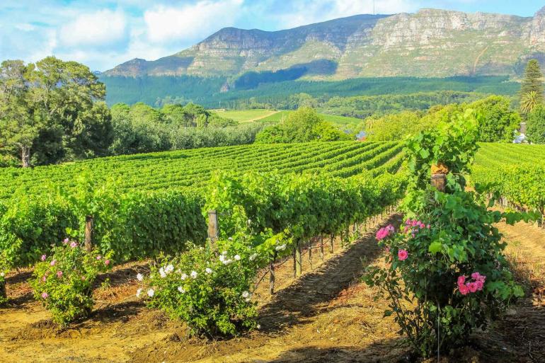 Nature & Wildlife Adventure & Adrenaline Splendid South Africa & Victoria Falls package