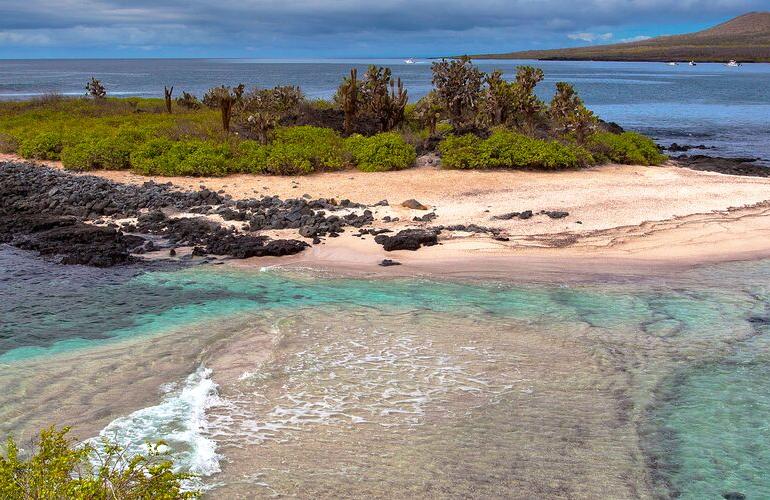 Galapagos at a Glance: Southern Islands (Grand Daphne) tour