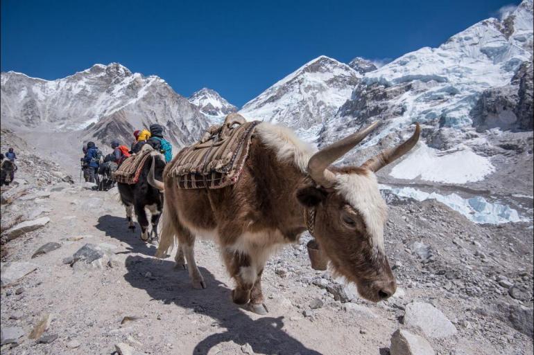 18 - 30's Culture Epic Everest Base Camp Trek package