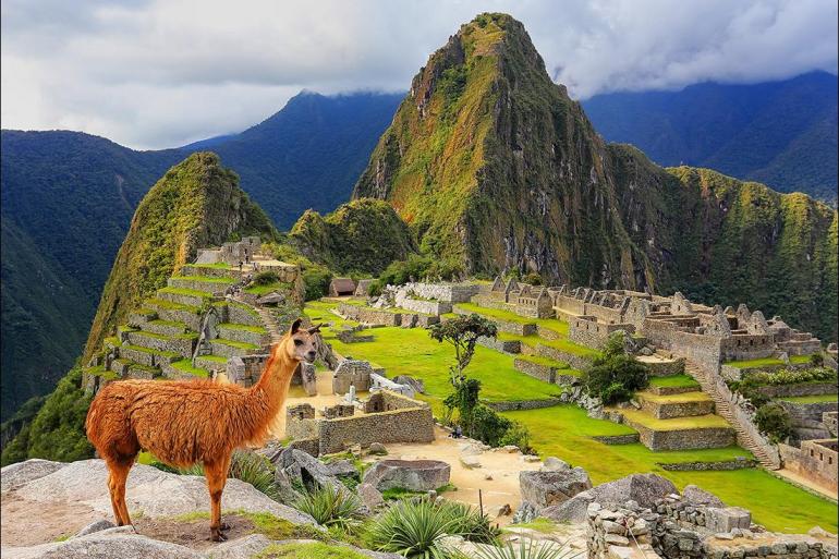 Local Immersion Historic sightseeing Inca Trail & Amazon Adventure package