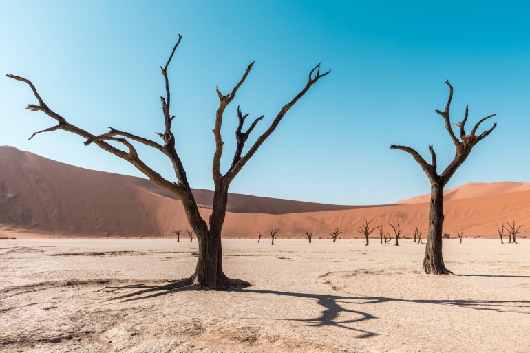 Skeleton Coast National Park Windhoek Namibia Desert & Dune Trip